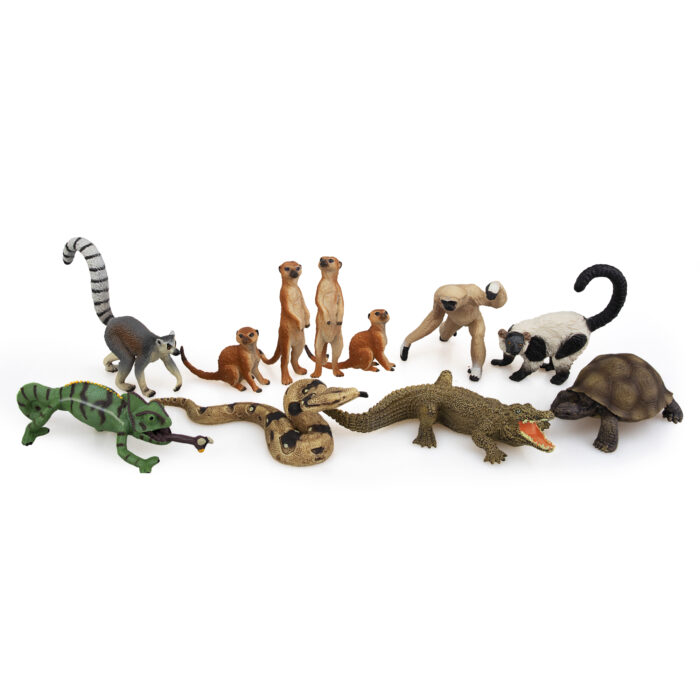 11PCS Madagascar Safari Animals Figurines Toy with Meerkat Lemur Chameleon Crocodile-Jungle Forest Zoo Animal Figures Set