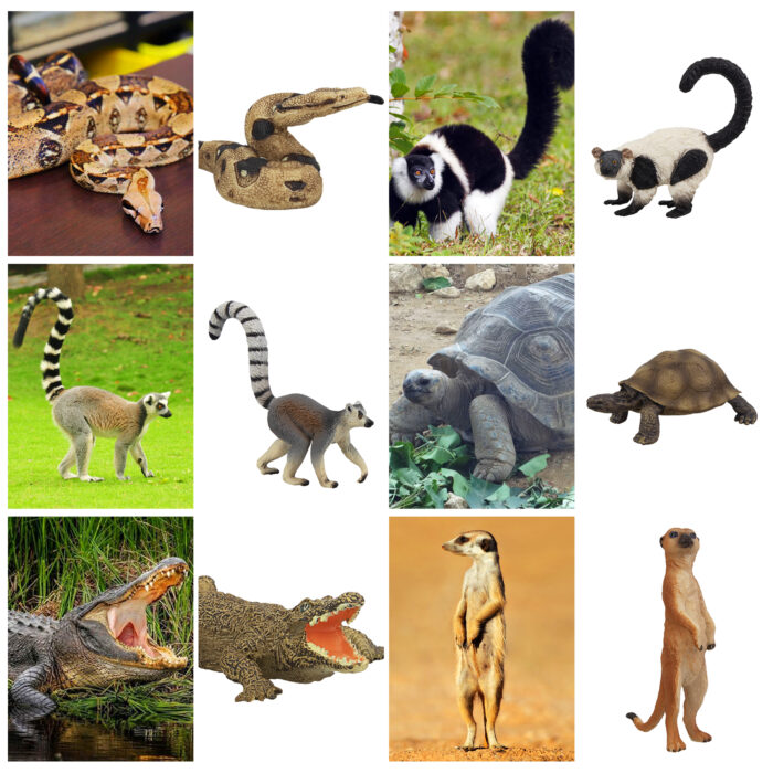 11PCS Madagascar Safari Animals Figurines Toy with Meerkat Lemur Chameleon Crocodile-Jungle Forest Zoo Animal Figures Set - Image 2