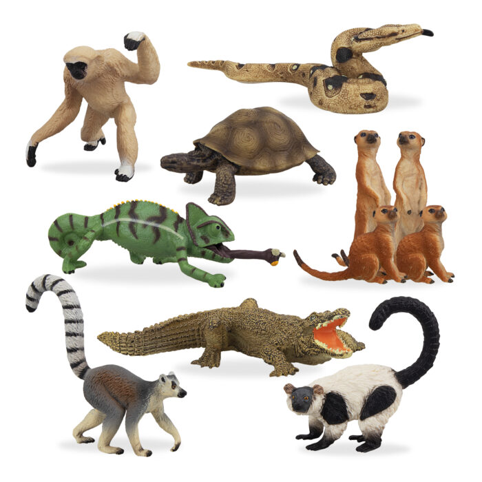 11PCS Madagascar Safari Animals Figurines Toy with Meerkat Lemur Chameleon Crocodile-Jungle Forest Zoo Animal Figures Set - Image 11