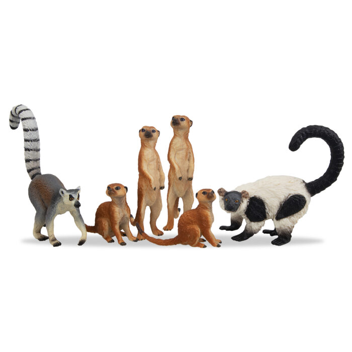 11PCS Madagascar Safari Animals Figurines Toy with Meerkat Lemur Chameleon Crocodile-Jungle Forest Zoo Animal Figures Set - Image 10