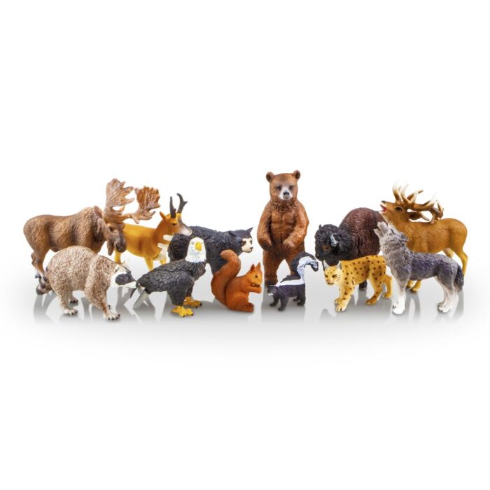 TOYMANY 12PCS North American Forest Animal Figurines, Realistic Safari Animal Figures Set Includes Raccoon,Lynx,Wolf,Bear,Eagle, Educational Toy Cake Toppers Christmas Birthday Gift for Kids Toddlers