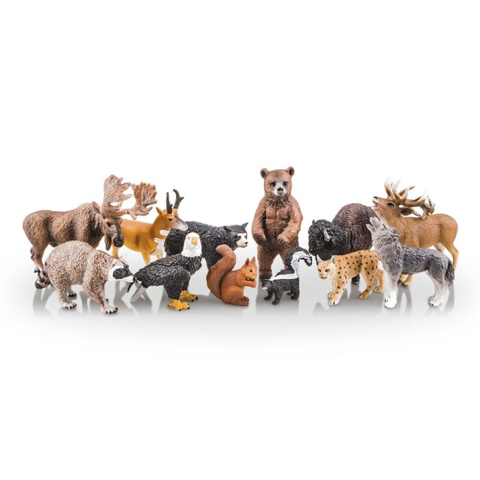 TOYMANY 12PCS North American Forest Animal Figurines, Realistic Safari Animal Figures Set Includes Raccoon,Lynx,Wolf,Bear,Eagle, Educational Toy Cake Toppers Christmas Birthday Gift for Kids Toddlers - Image 2