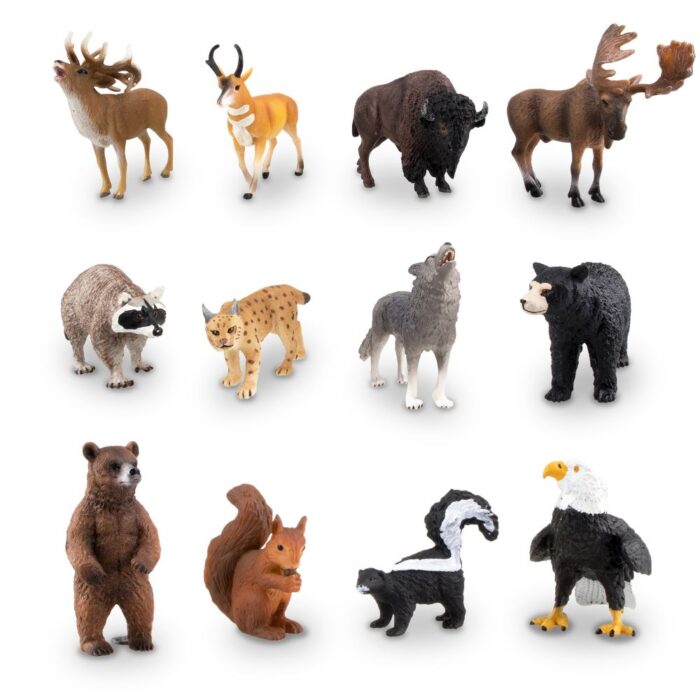 TOYMANY 12PCS North American Forest Animal Figurines, Realistic Safari Animal Figures Set Includes Raccoon,Lynx,Wolf,Bear,Eagle, Educational Toy Cake Toppers Christmas Birthday Gift for Kids Toddlers - Image 11