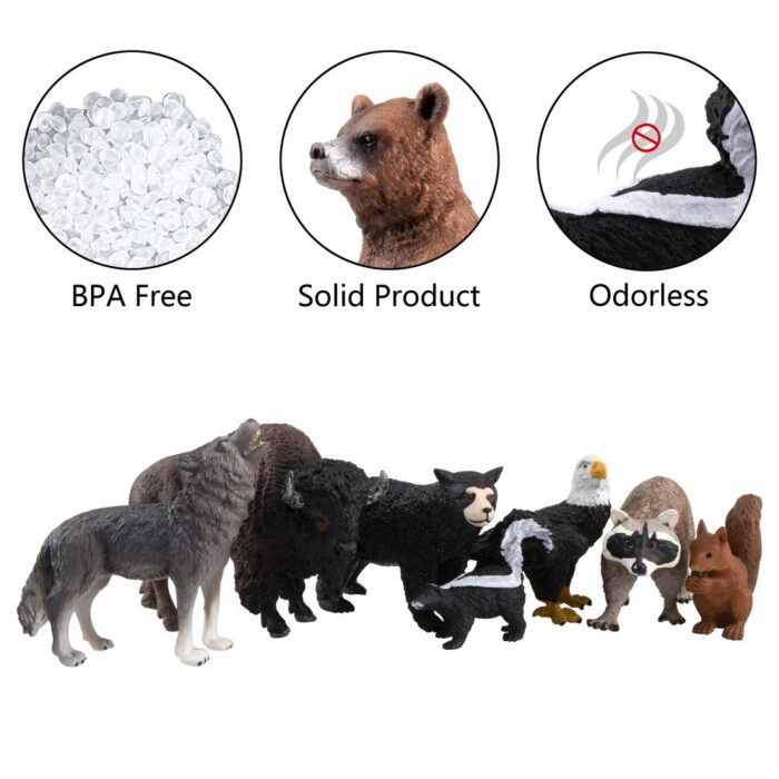 TOYMANY 12PCS North American Forest Animal Figurines, Realistic Safari Animal Figures Set Includes Raccoon,Lynx,Wolf,Bear,Eagle, Educational Toy Cake Toppers Christmas Birthday Gift for Kids Toddlers - Image 7