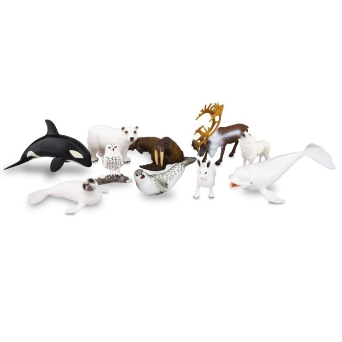 TOYMANY 10PCS 2-7" Realistic Polar Animal Figurines, Plastic Arctic Animal Figure Set Includes Polar Bear,Caribou,Whales,Walrus, Cake Toppers Christmas Birthday Toy Gift for Kids Toddlers - Image 13