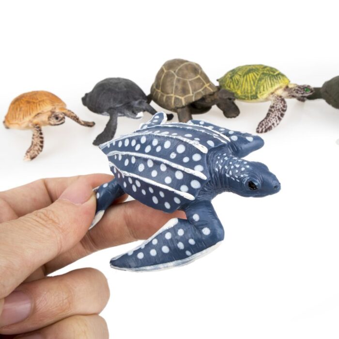 TOYMANY 6PCS Realistic Sea Turtle Figurines, Plastic Ocean Sea Animals Figures Set Includes of Turtles, Educational Toy Cake Toppers Christmas Birthday Gift for Kids Toddlers - Image 4