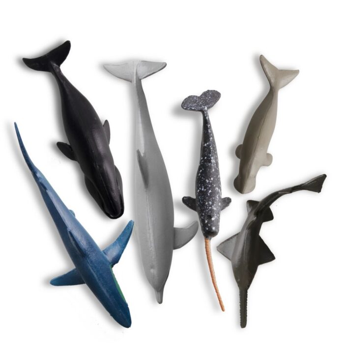 TOYMANY 24PCS Mini Sea Animal Figures, Realistic Ocean Animals Figurines Cake Topper Toy Set with Sharks Whales Octopus, Easter Egg Christmas Birthday Gift Party Favor School Project for Kids Toddlers - Image 5