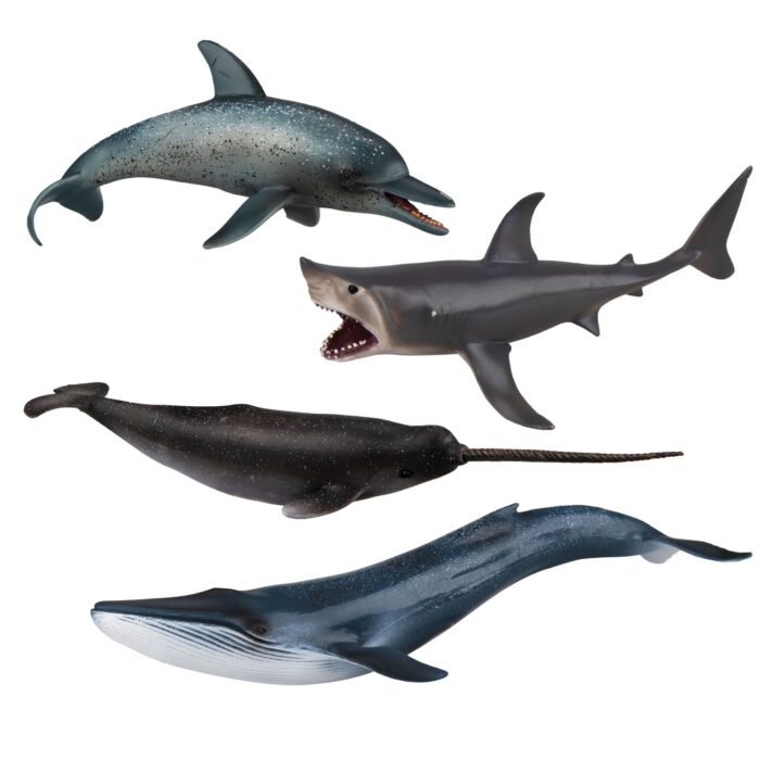 TOYMANY 4PCS 8-10" L Realistic Large Shark & Whale Figurines Bath Toys, Plastic Play Ocean Sea Animals Figures Set Includes Dolphin,Great White Shark,Blue Whale, Educational Birthday Gift for Kids - Image 4