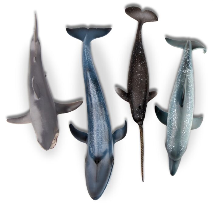 TOYMANY 4PCS 8-10" L Realistic Large Shark & Whale Figurines Bath Toys, Plastic Play Ocean Sea Animals Figures Set Includes Dolphin,Great White Shark,Blue Whale, Educational Birthday Gift for Kids - Image 5