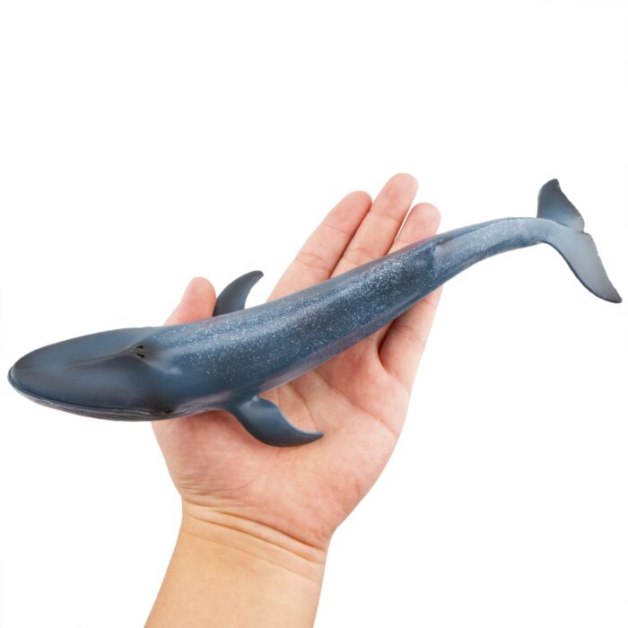 TOYMANY 4PCS 8-10" L Realistic Large Shark & Whale Figurines Bath Toys, Plastic Play Ocean Sea Animals Figures Set Includes Dolphin,Great White Shark,Blue Whale, Educational Birthday Gift for Kids - Image 13