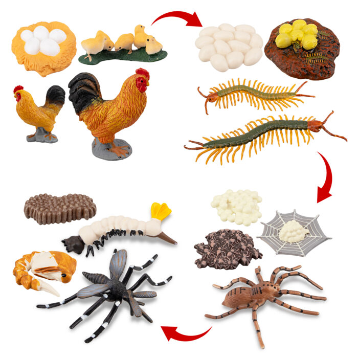 TOYMANY 16PCS Farm Animals Figurines Life Cycle of Chicken Rooster Centipede Spider Mosquito, Plastic Food Chain Animal Figures Toy Kit Educational School Project for Kids Toddlers - Image 2