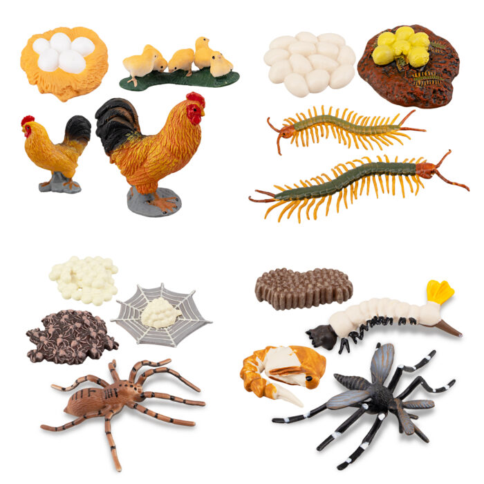 TOYMANY 16PCS Farm Animals Figurines Life Cycle of Chicken Rooster Centipede Spider Mosquito, Plastic Food Chain Animal Figures Toy Kit Educational School Project for Kids Toddlers