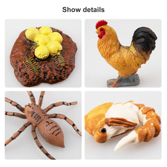 TOYMANY 16PCS Farm Animals Figurines Life Cycle of Chicken Rooster Centipede Spider Mosquito, Plastic Food Chain Animal Figures Toy Kit Educational School Project for Kids Toddlers - Image 5