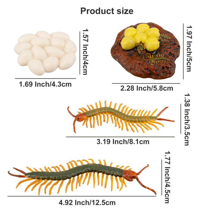 TOYMANY 16PCS Farm Animals Figurines Life Cycle of Chicken Rooster Centipede Spider Mosquito, Plastic Food Chain Animal Figures Toy Kit Educational School Project for Kids Toddlers - Image 9