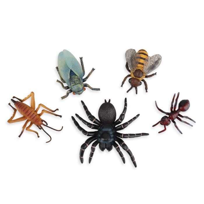 12PCS Realistic Insects Figures Toys - Plastic Bugs Figurines Set with Cicada Cricket Scarab Bee Ant Spider - Image 4