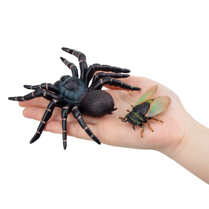 12PCS Realistic Insects Figures Toys - Plastic Bugs Figurines Set with Cicada Cricket Scarab Bee Ant Spider - Image 9