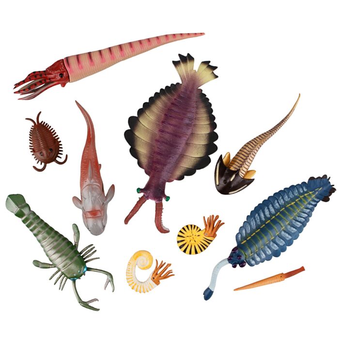 10PCS Cambrian Sea Creature Animal Figurines, Plastic Ancient Marine Animal Toy Figures with Dunkleosteus,Cephalaspis,Opabinia, Prehistoric Educational Learning Toys - Image 3