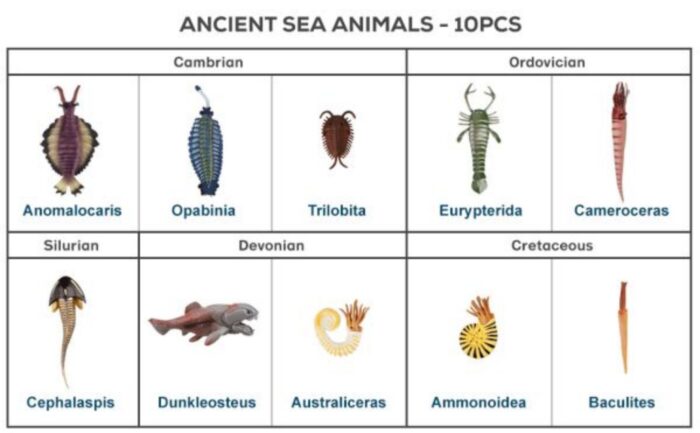 10PCS Cambrian Sea Creature Animal Figurines, Plastic Ancient Marine Animal Toy Figures with Dunkleosteus,Cephalaspis,Opabinia, Prehistoric Educational Learning Toys - Image 12