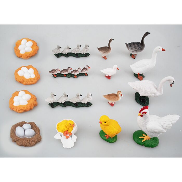 16PCS Farm Animals Figurines Life Cycle of Chicken Hen Duck Goose White Swan, Plastic Safariology Growth Cycle Eggs Figures - Image 4