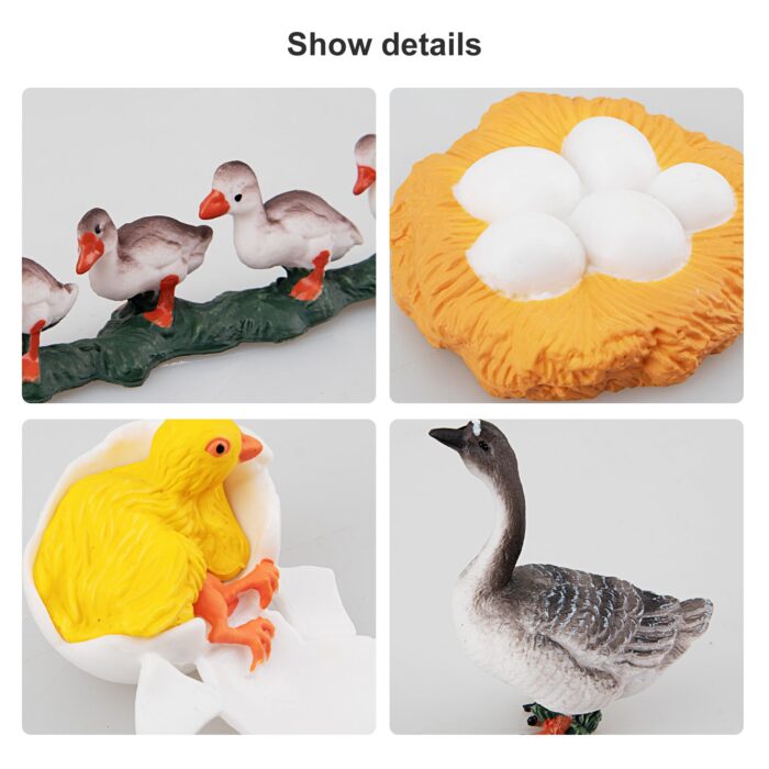 16PCS Farm Animals Figurines Life Cycle of Chicken Hen Duck Goose White Swan, Plastic Safariology Growth Cycle Eggs Figures - Image 6