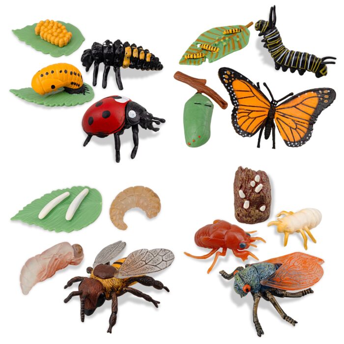 16PCS Insect Figurines Life Cycle of Monarch Butterfly,Honey Bee,Cicada,Ladybug, Plastic Caterpillars to Butterflies Bug Figures