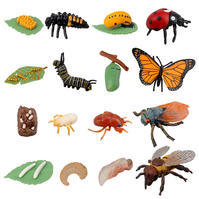 16PCS Insect Figurines Life Cycle of Monarch Butterfly,Honey Bee,Cicada,Ladybug, Plastic Caterpillars to Butterflies Bug Figures - Image 2