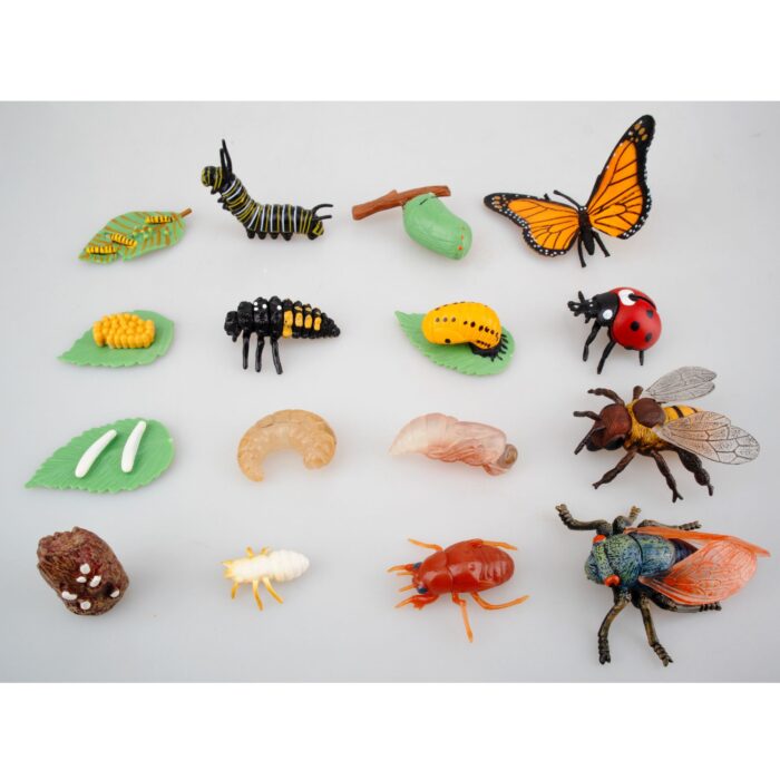 16PCS Insect Figurines Life Cycle of Monarch Butterfly,Honey Bee,Cicada,Ladybug, Plastic Caterpillars to Butterflies Bug Figures - Image 3