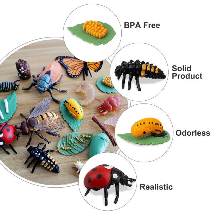 16PCS Insect Figurines Life Cycle of Monarch Butterfly,Honey Bee,Cicada,Ladybug, Plastic Caterpillars to Butterflies Bug Figures - Image 4