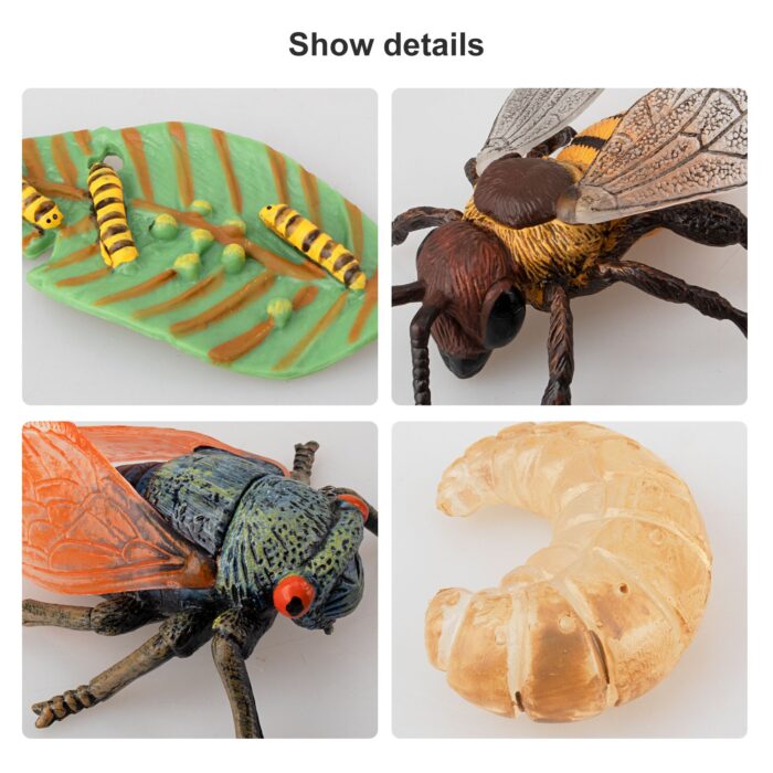 16PCS Insect Figurines Life Cycle of Monarch Butterfly,Honey Bee,Cicada,Ladybug, Plastic Caterpillars to Butterflies Bug Figures - Image 5