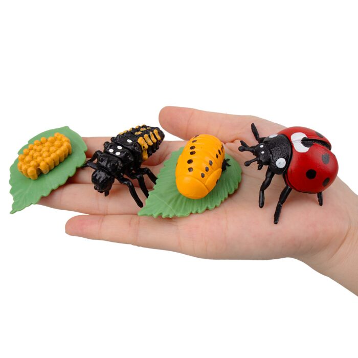 16PCS Insect Figurines Life Cycle of Monarch Butterfly,Honey Bee,Cicada,Ladybug, Plastic Caterpillars to Butterflies Bug Figures - Image 6