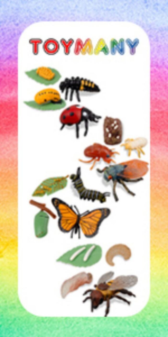 16PCS Insect Figurines Life Cycle of Monarch Butterfly,Honey Bee,Cicada,Ladybug, Plastic Caterpillars to Butterflies Bug Figures - Image 12