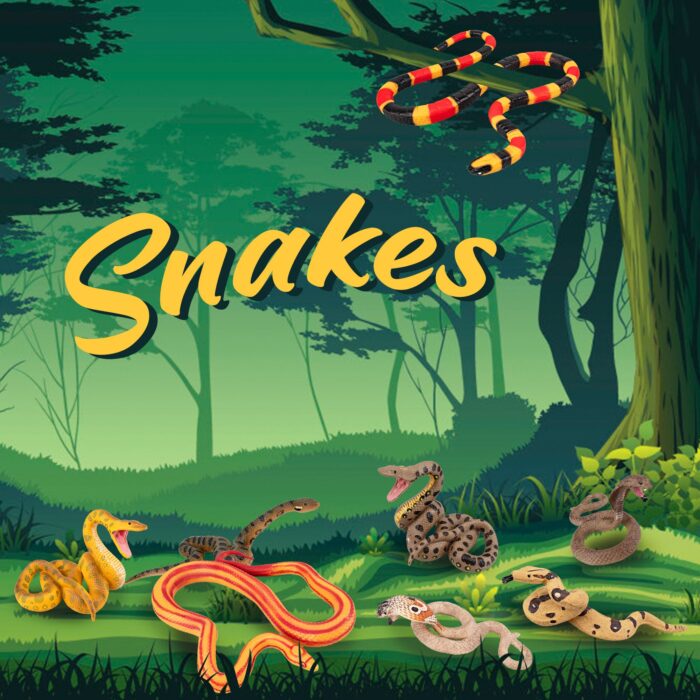 8PCS Snake Figures Safari Animal Figurines, Plastic Realistic Forest Woodland Jungle Zoo Animals Toy Set with Cobra Python Figure - Image 5