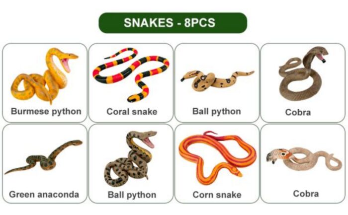 8PCS Snake Figures Safari Animal Figurines, Plastic Realistic Forest Woodland Jungle Zoo Animals Toy Set with Cobra Python Figure - Image 11