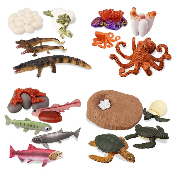 17PCS Sea Animal Life Cycle Figurines of Green Sea Turtle Crocodile Octopus Salmon Fish, Plastic Marine Figures Toy Kit