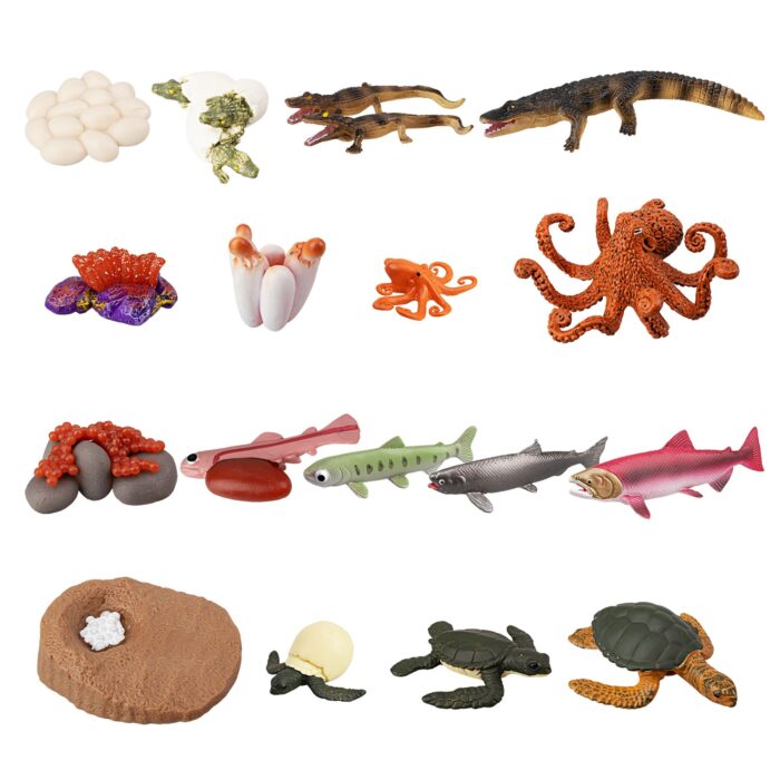 17PCS Sea Animal Life Cycle Figurines of Green Sea Turtle Crocodile Octopus Salmon Fish, Plastic Marine Figures Toy Kit - Image 2