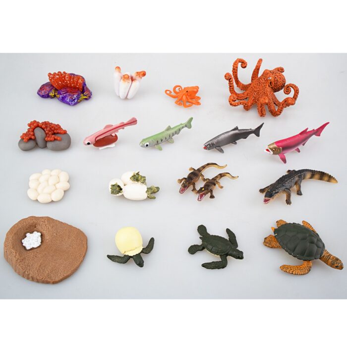 17PCS Sea Animal Life Cycle Figurines of Green Sea Turtle Crocodile Octopus Salmon Fish, Plastic Marine Figures Toy Kit - Image 3