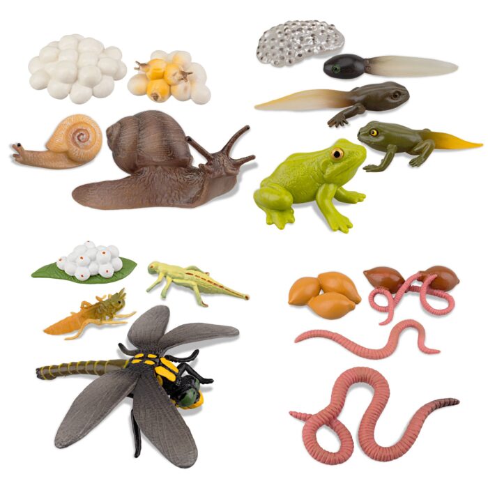 17PCS Life Cycle of Frog Snail Earthworm Dragonfly, Egg Tadpole to Frog Safariology Amphibian Figurines Toy Kit